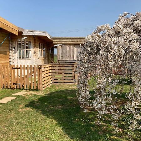Отель The Retreat Hornblotton Экстерьер фото