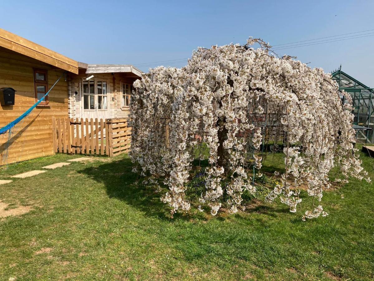 Отель The Retreat Hornblotton Экстерьер фото